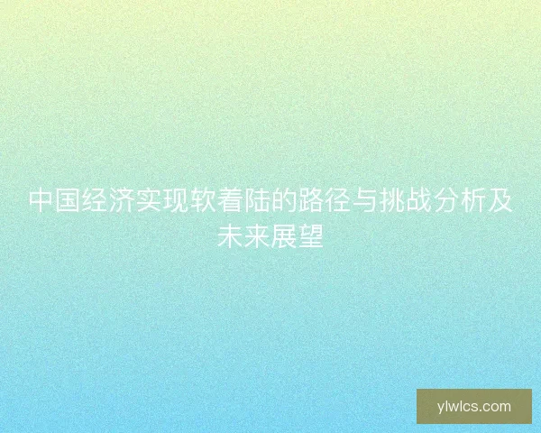 中国经济实现软着陆的路径与挑战分析及未来展望