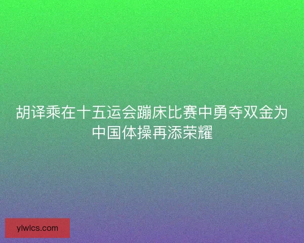 胡译乘在十五运会蹦床比赛中勇夺双金为中国体操再添荣耀
