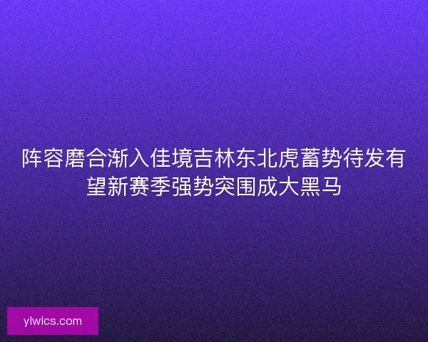阵容磨合渐入佳境吉林东北虎蓄势待发有望新赛季强势突围成大黑马